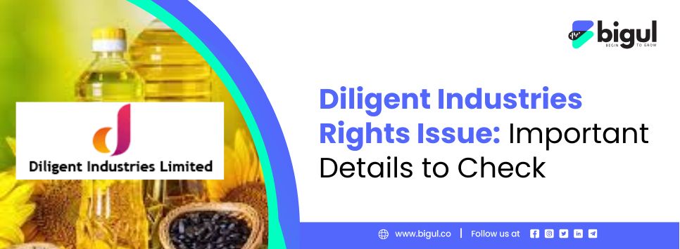 Diligent Industries Rights Issue, share prices